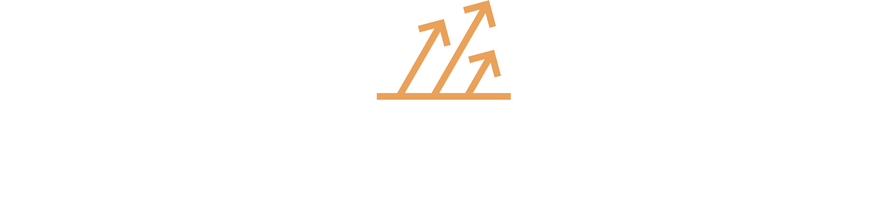 ElevateEdge Consultancy